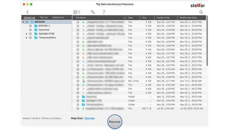 Stella Data Recovery anteprima file recuperati Stella Data Recovery anteprima file recuperati
