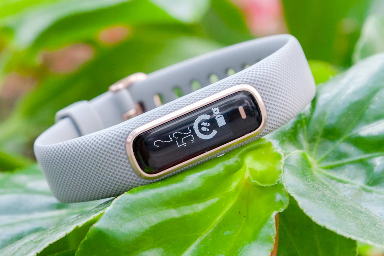 Garmin VivoSmart 4