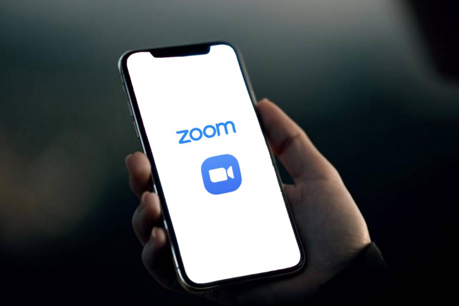 La guida su Zoom di Idealight