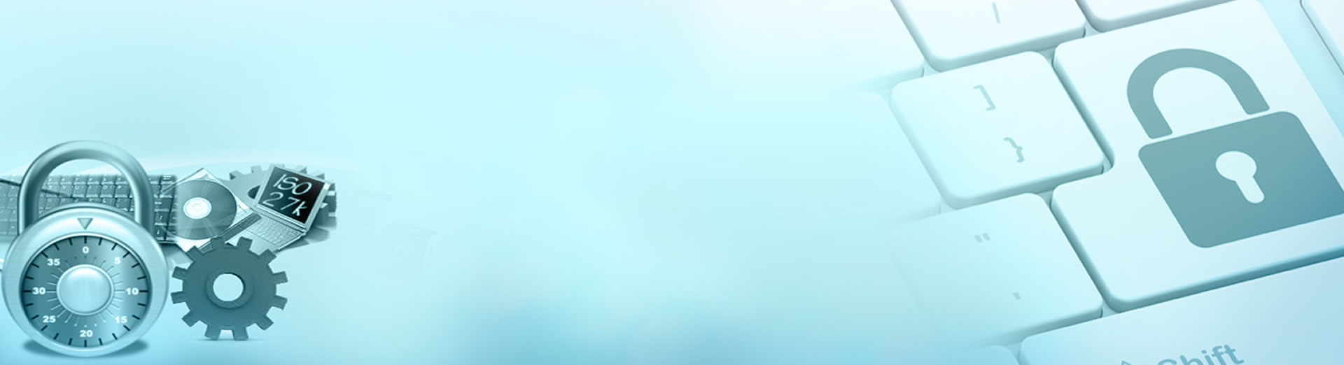 Banner Idealight Privacy Policy