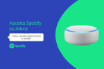 Collegamento Alexa e Spotify