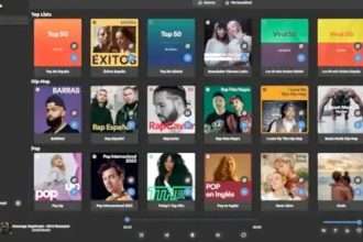 Spotube guida completa