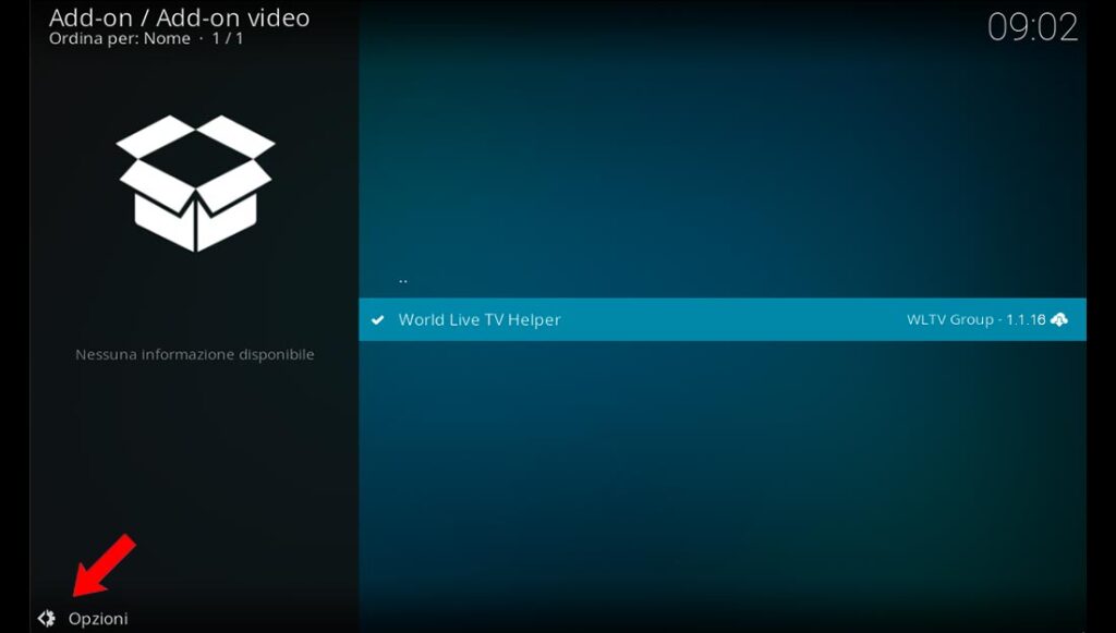 Sezione opzioni degli add-on